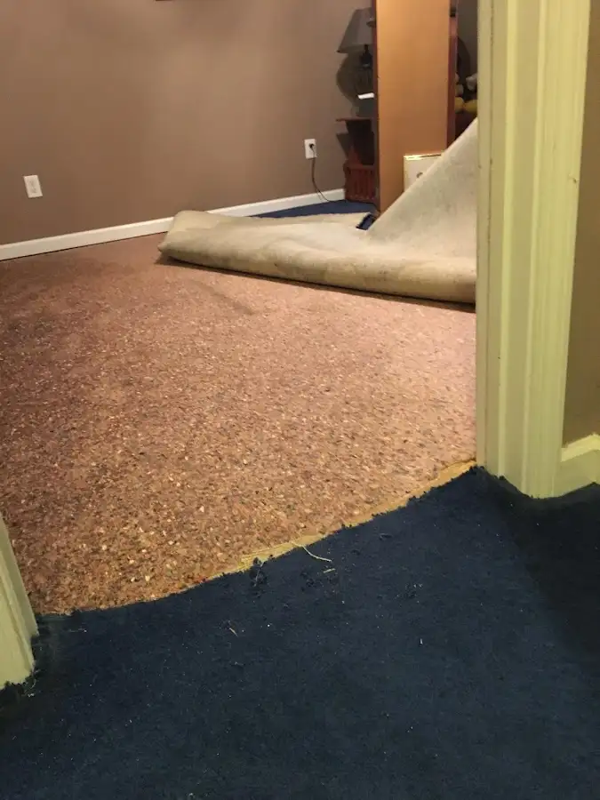 Carpet pad removal revealing water damage during Drying & Dehumidification in Beckett Ridge